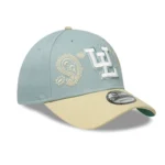 348 GORRA FG PRSLY 9FORTY AJUSTABLE - Image 2
